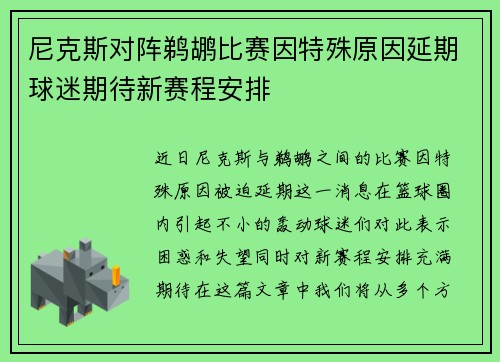 尼克斯对阵鹈鹕比赛因特殊原因延期球迷期待新赛程安排