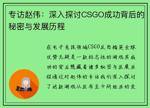 专访赵伟：深入探讨CSGO成功背后的秘密与发展历程